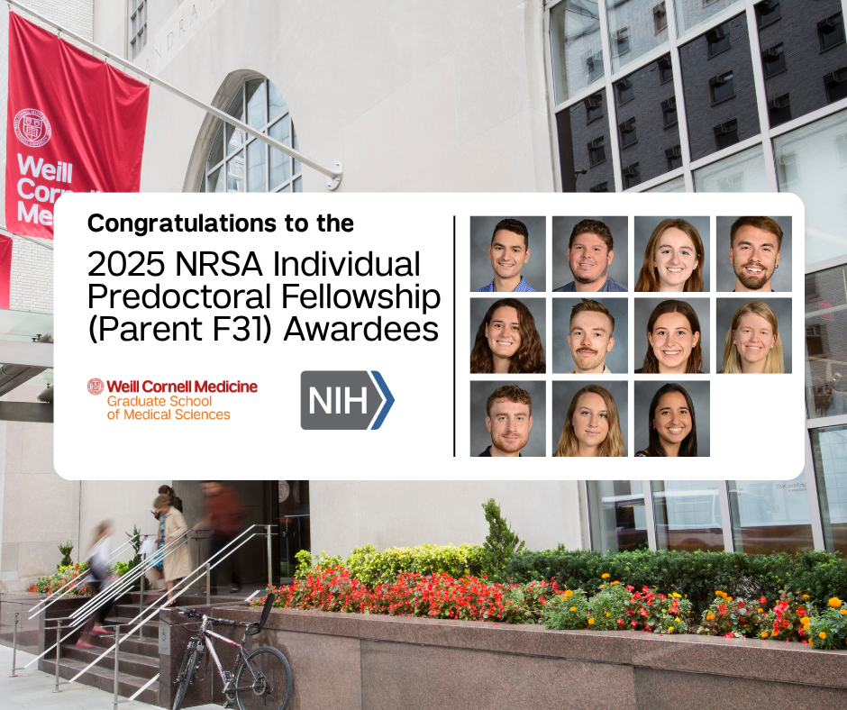 Notice of 2025 NIH F31 program awardees