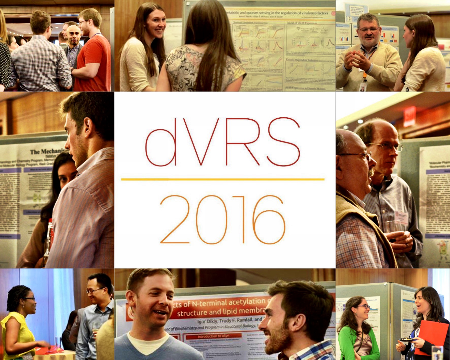 DVRS 2016
