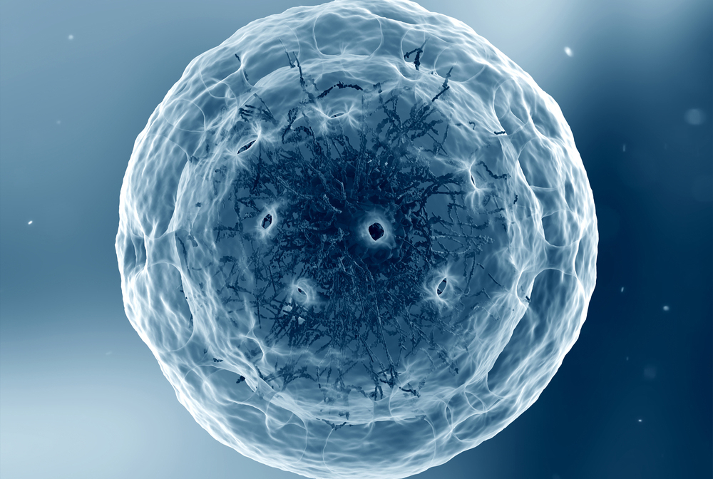 illustration of chromatin in the nucleus