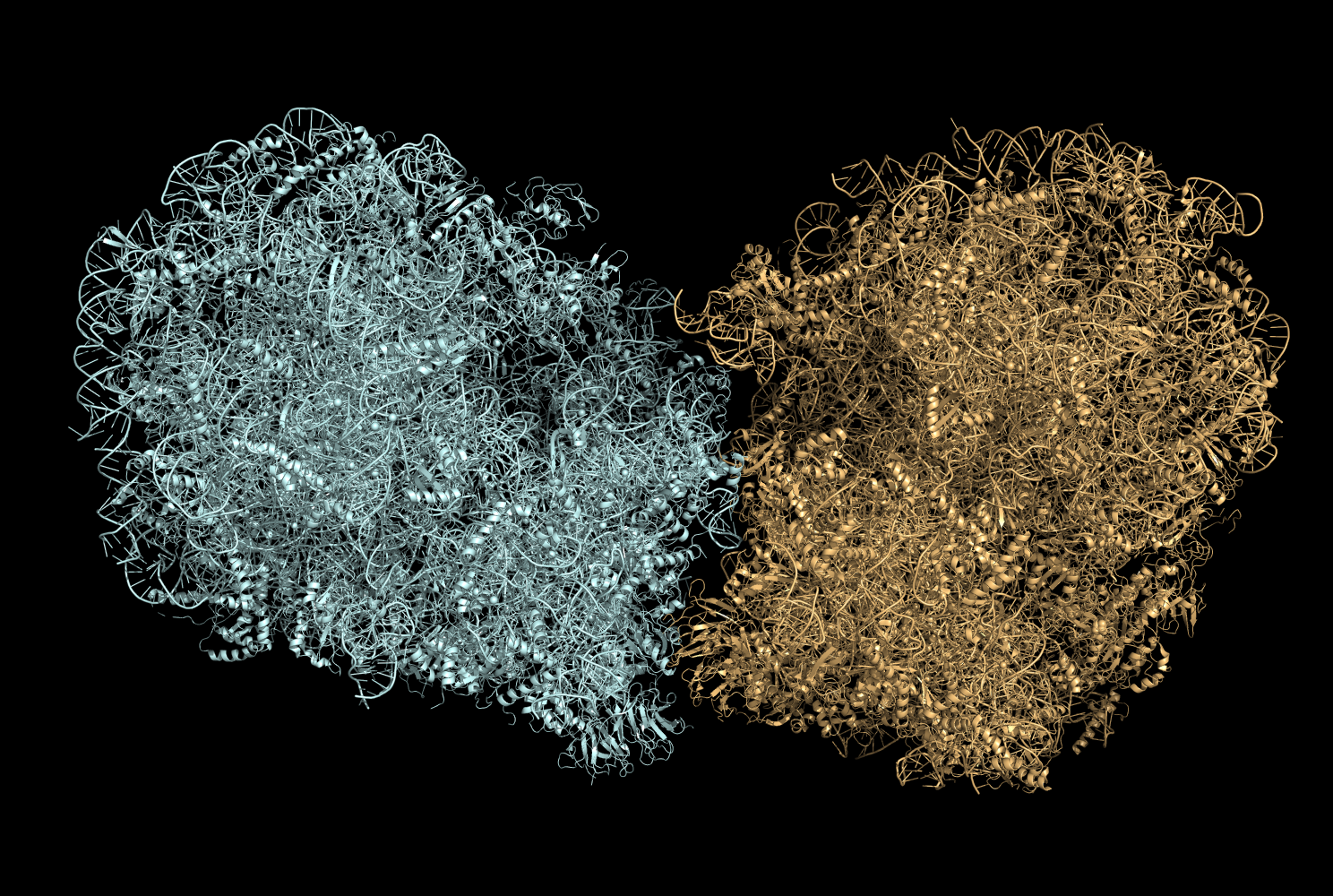 teal and brown molecular complexes