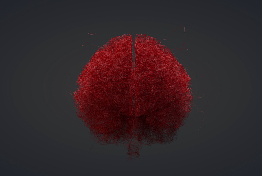 Brain pathways