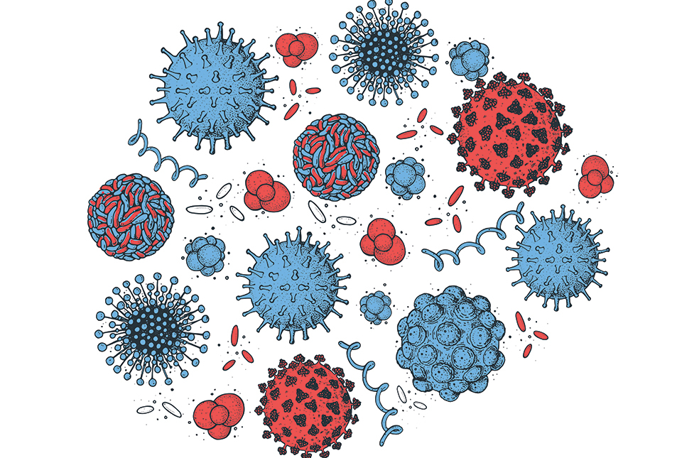 blue and red drawing of different types of viruses