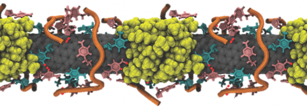 Simulated image of the nanoreporter bound to molecules of cholesterol (yellow). Simulated image of the nanoreporter bound to molecules of cholesterol (yellow).