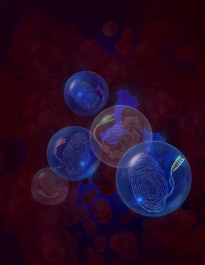 The article describes the development of a novel technology – Genotyping of Transcriptomes (or GoT) – which enables to study the impact of somatic mutations (indicated by blue glow) in primary human cells, in the context of their native cell identity (“fi The article describes the development of a novel technology – Genotyping of Transcriptomes (or GoT) – which enables to study the impact of somatic mutations (indicated by blue glow) in primary human cells, in the context of their native cell identity (“fi