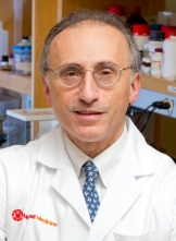 Dr. Shahin Rafii Dr. Shahin Rafii