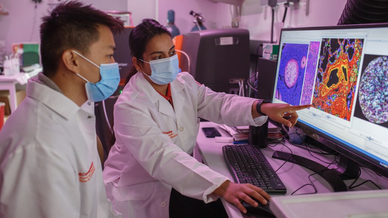Students viewing brain scans on computer