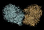 teal and brown molecular complexes