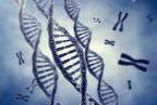 illustration of DNA double helix and chromosomes