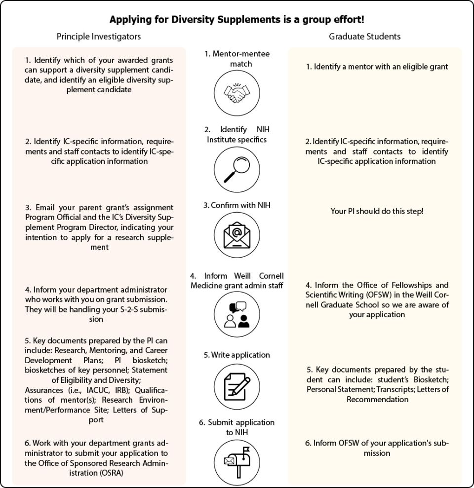 Flow chart demonstrating the parallel roles of the PI and graduate student candidates Flow chart demonstrating the parallel roles of the PI and graduate student candidates