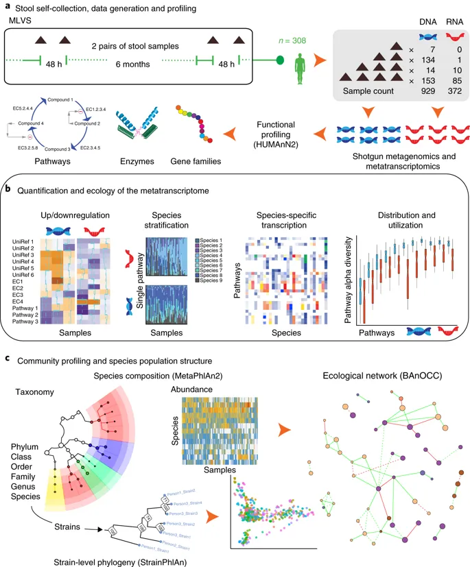 Microbiomics | Graduate School Of Medical Sciences