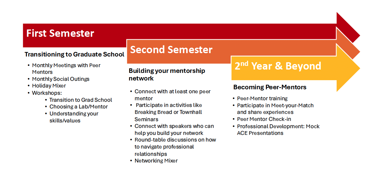 2025_EdC_Curriculum