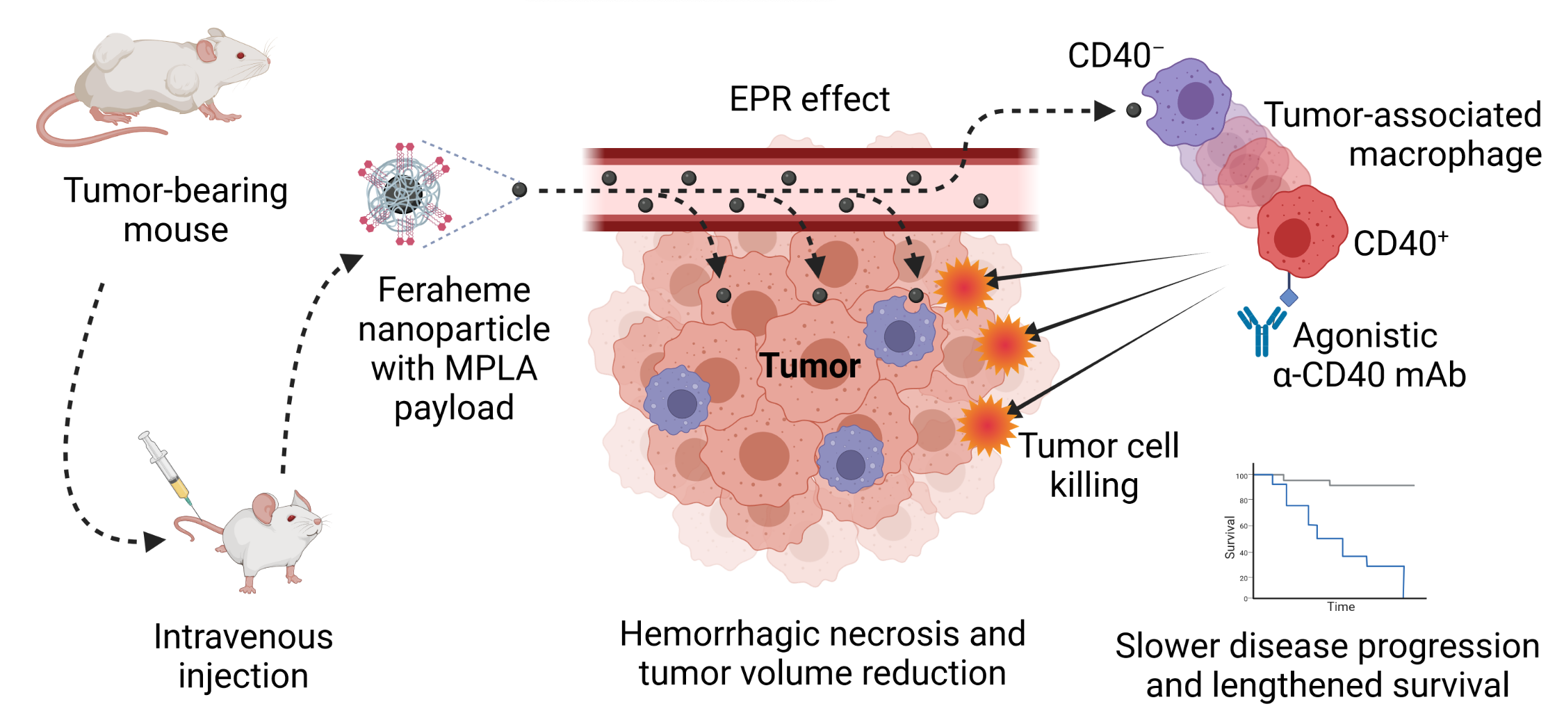 Nanotherapy