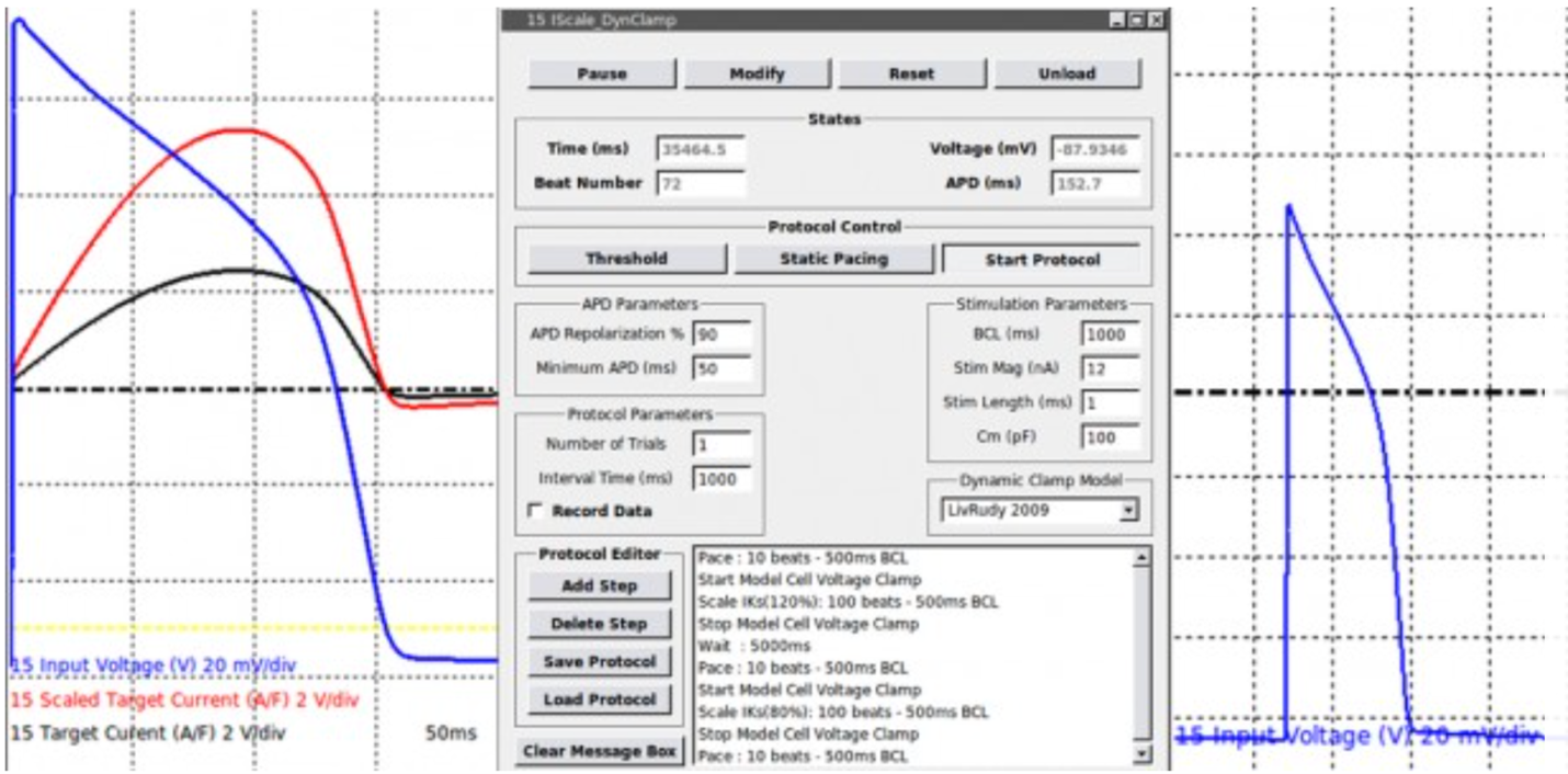 Fig. 2 – screengrab of Dynamic Clamp experiment