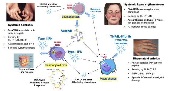 Dr.Barrat Figure 1