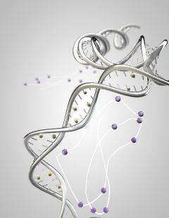 Methyl marks on the RNA XIST enable it to trigger X chromosome inactivation