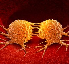 illustration of dividing cancer cell