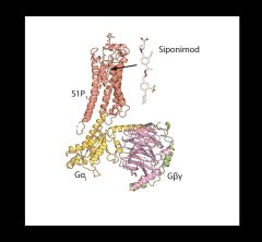 illustration of receptors