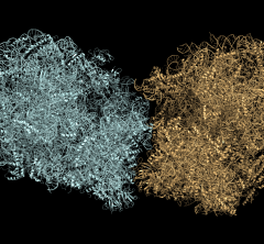 teal and brown molecular complexes