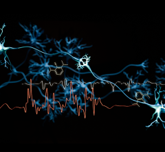 image of neurons with EEG trace and chemical structure superimposed on them