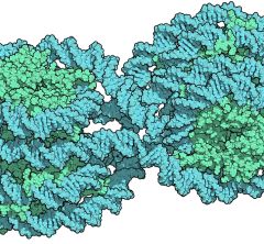 cyan strands of DNA wrapped around green histone proteins