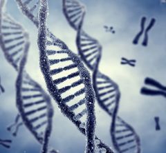 illustration of DNA double helix and chromosomes