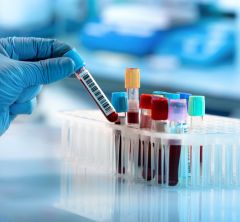 gloved hand holding lab tube