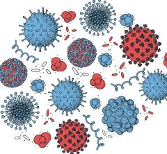 blue and red drawing of different types of viruses